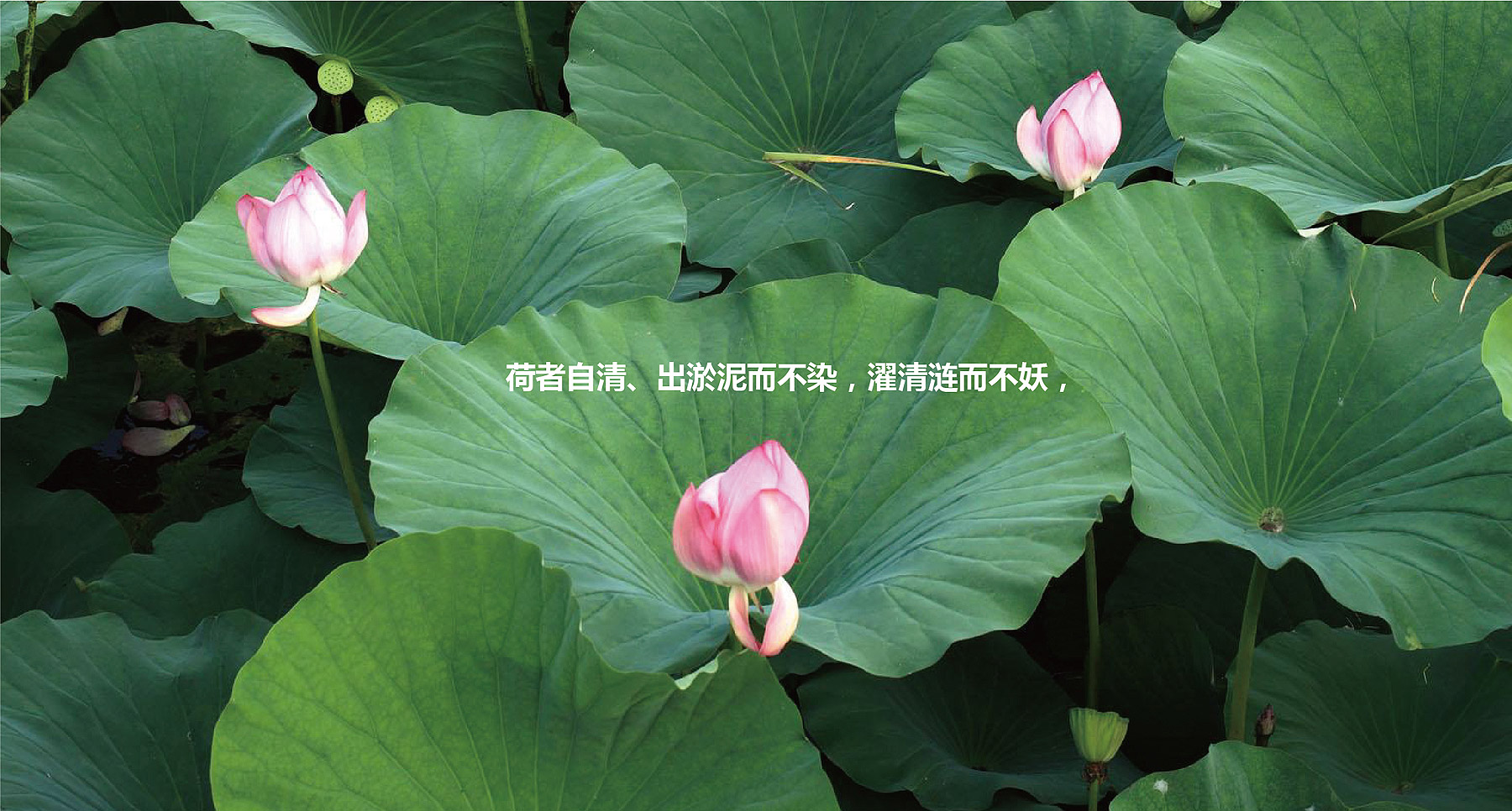 百联物业VIS设计(图6)