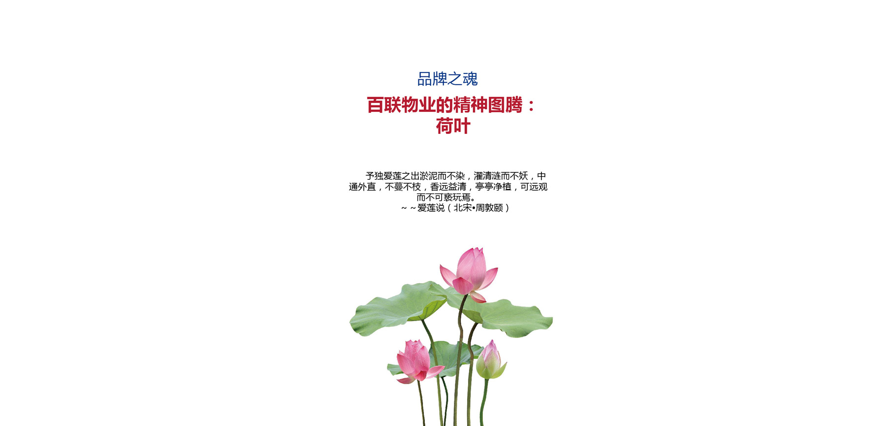 百联物业VIS设计(图5)