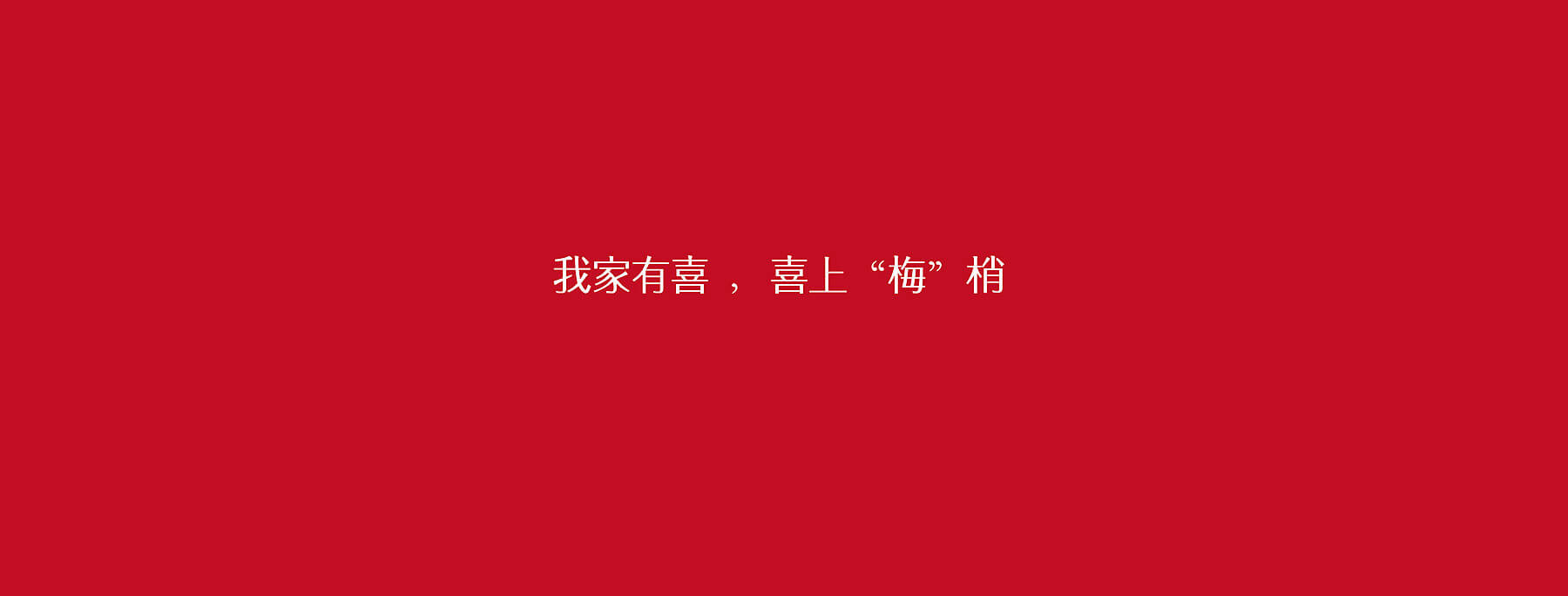 我家有喜品牌设计(图4)
