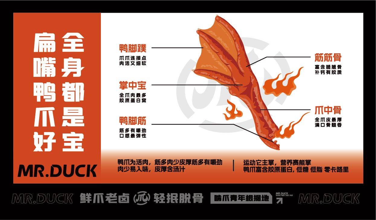 扁嘴先生(图19)