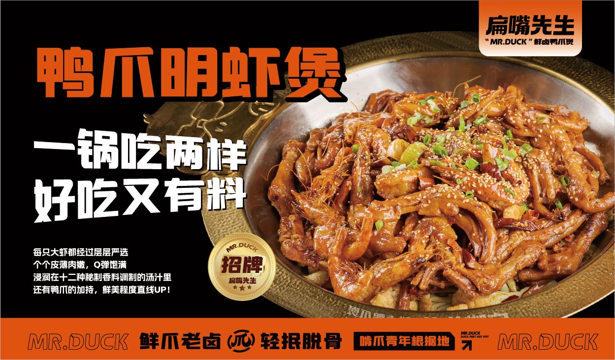 扁嘴先生(图10)