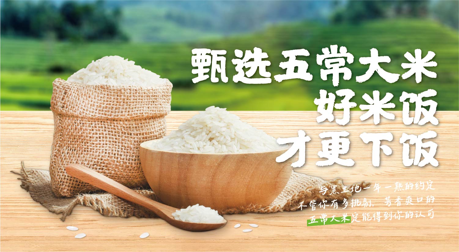 皖客莱 中式现炒连锁快餐(图11)