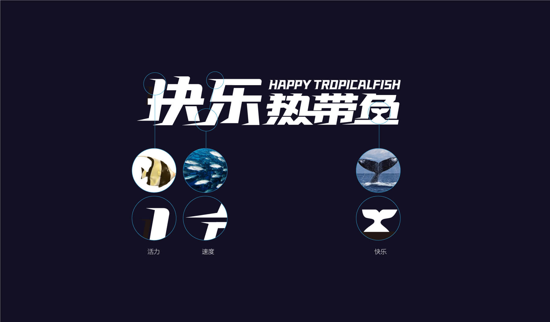 快乐热带鱼(图5)