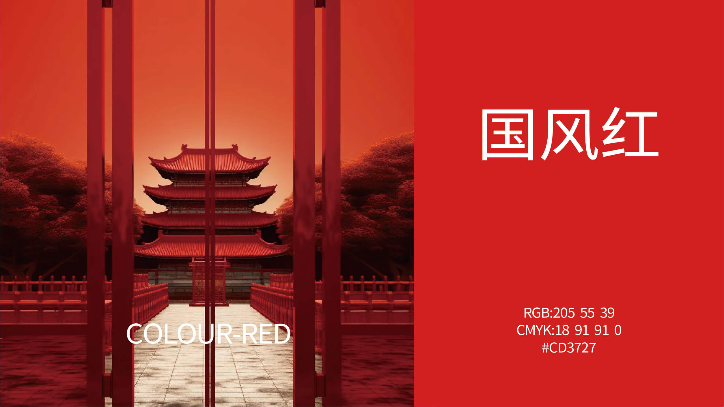霸王炒鸡 砂锅现炖(图1)