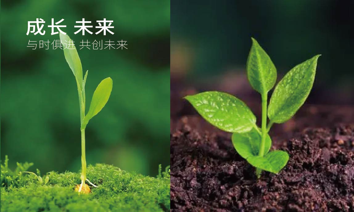 时和年沣品牌全案设计(图1)