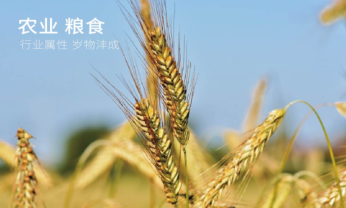 时和年沣品牌全案设计(图7)