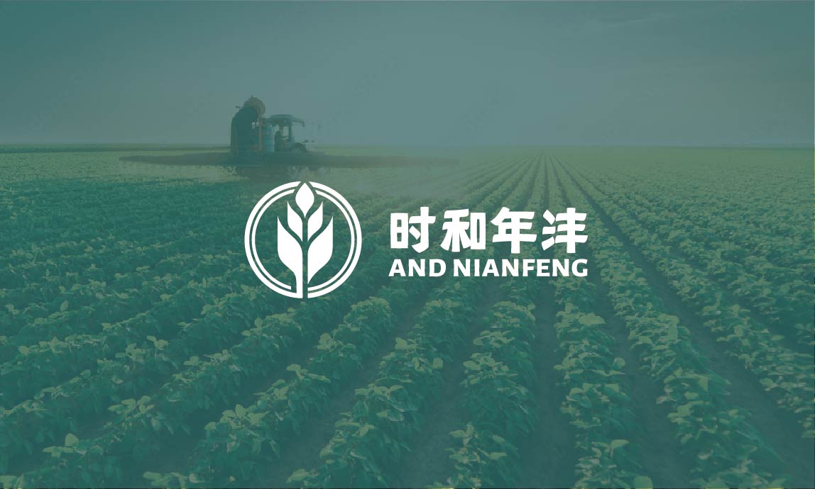时和年沣品牌全案设计(图11)