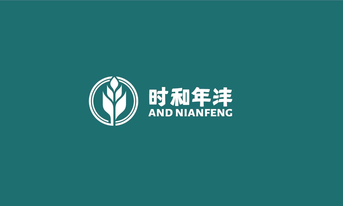 时和年沣品牌全案设计(图10)