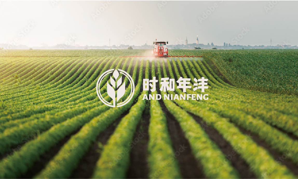 时和年沣品牌全案设计(图13)