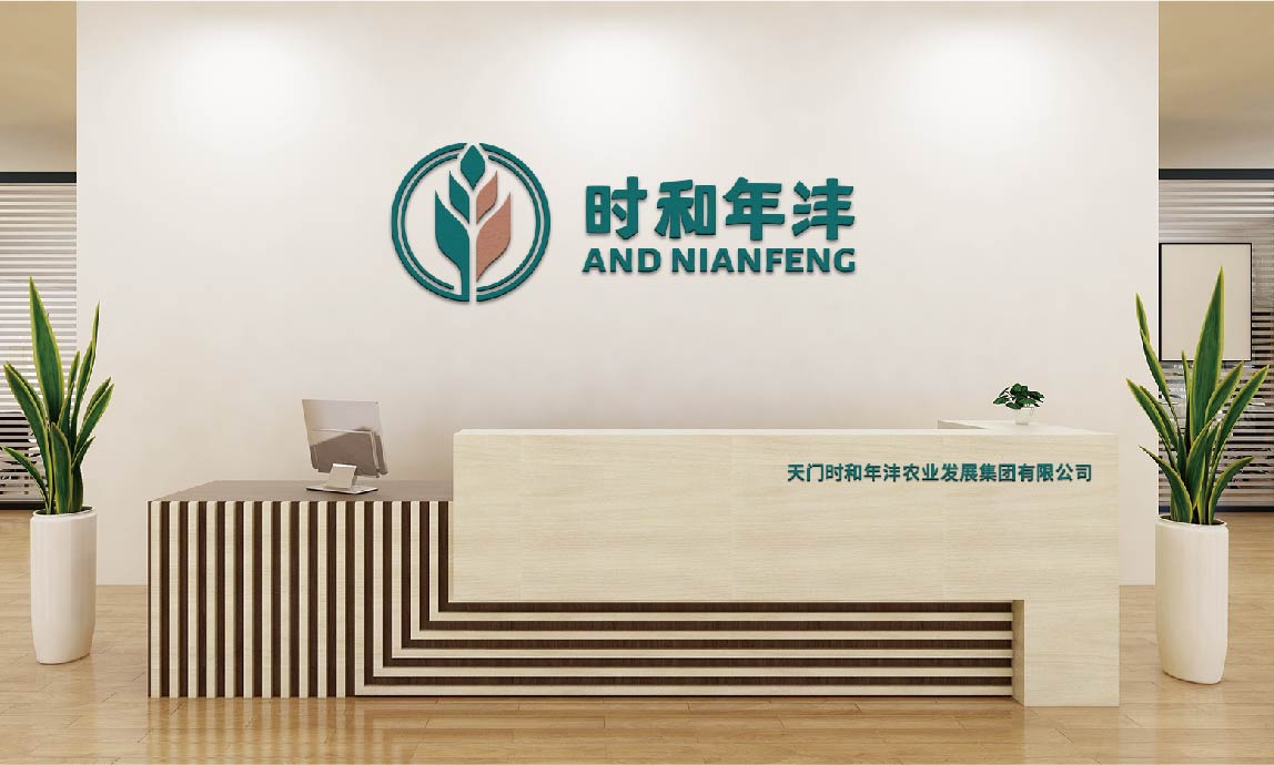 时和年沣品牌全案设计(图31)
