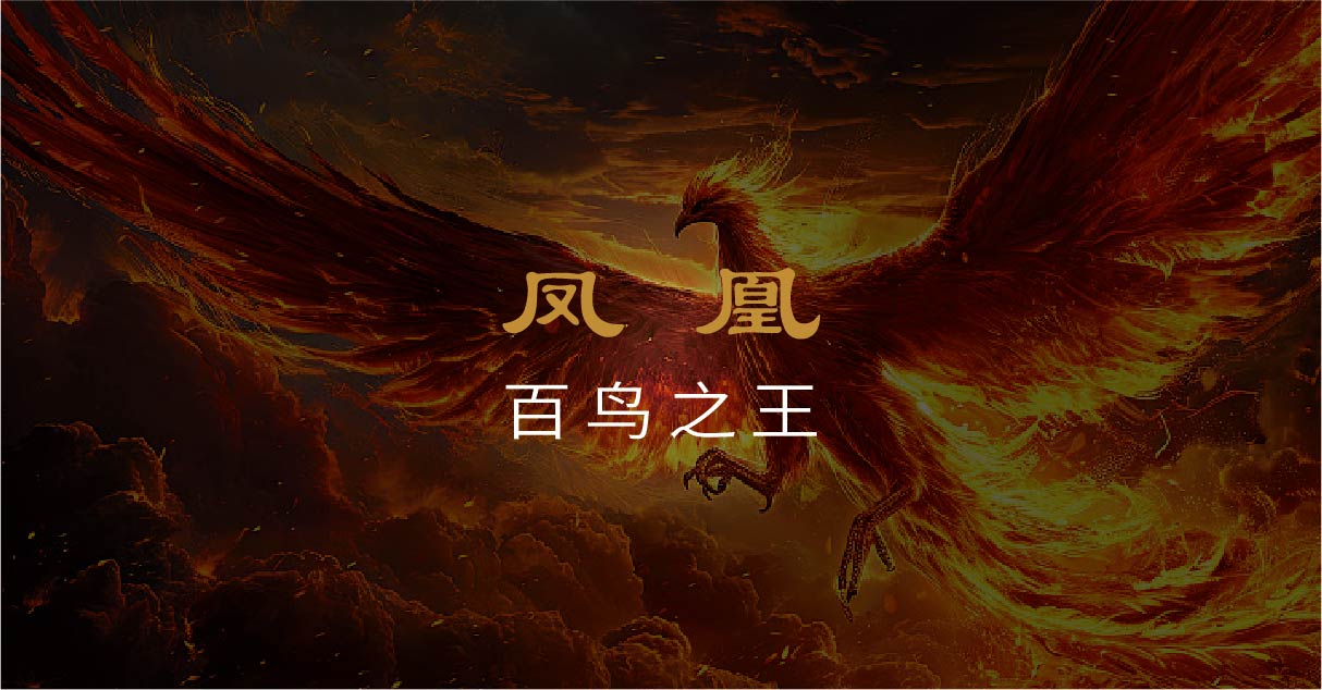 墨匠 中国包王(图2)
