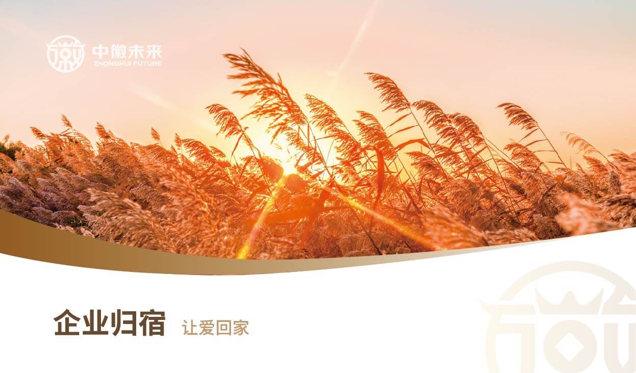 中徽未来全案设计(图8)