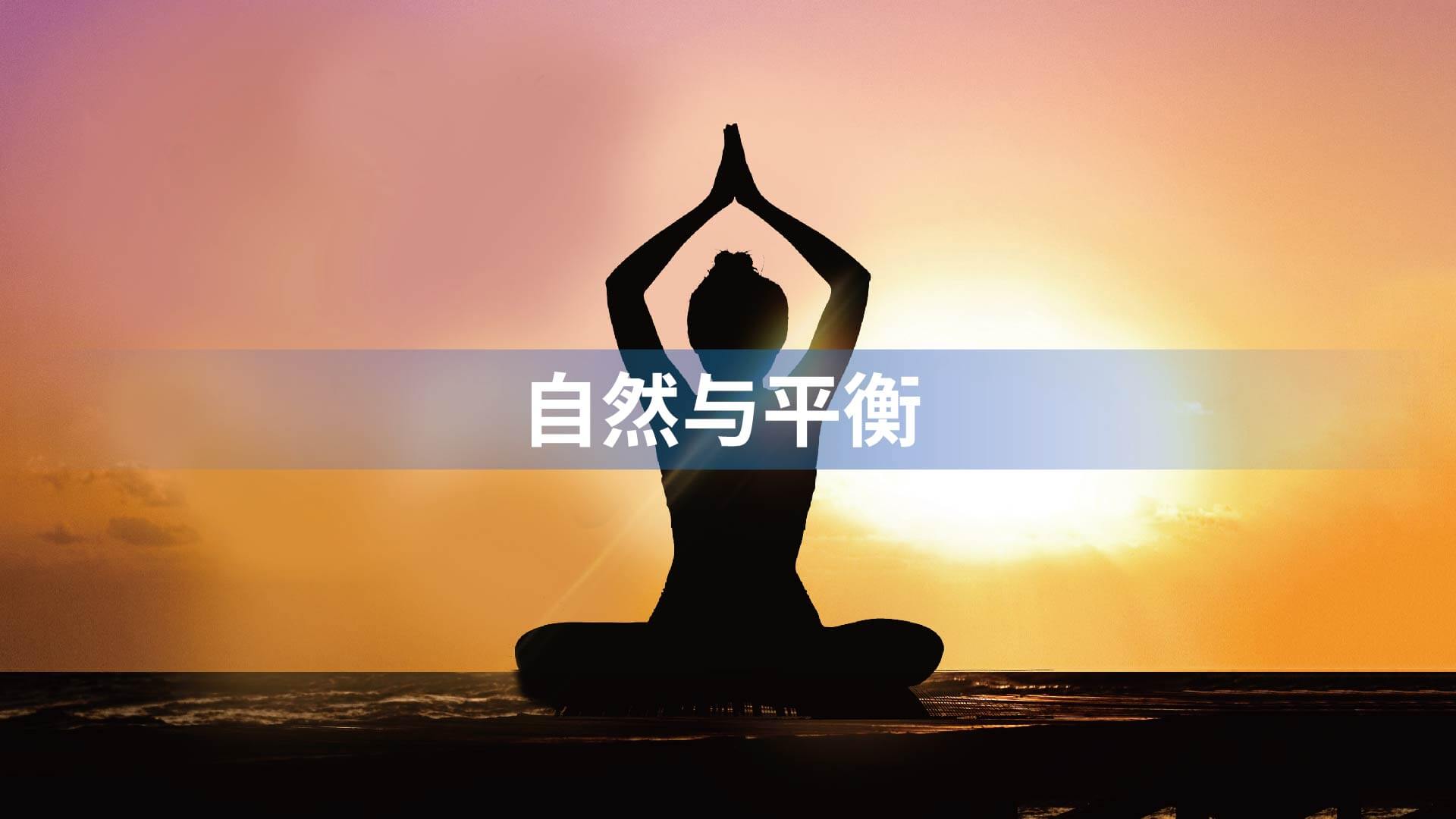 中健未来品牌全案设计(图7)