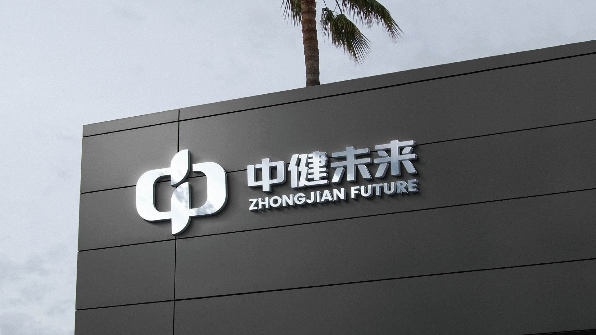 中健未来品牌全案设计(图16)