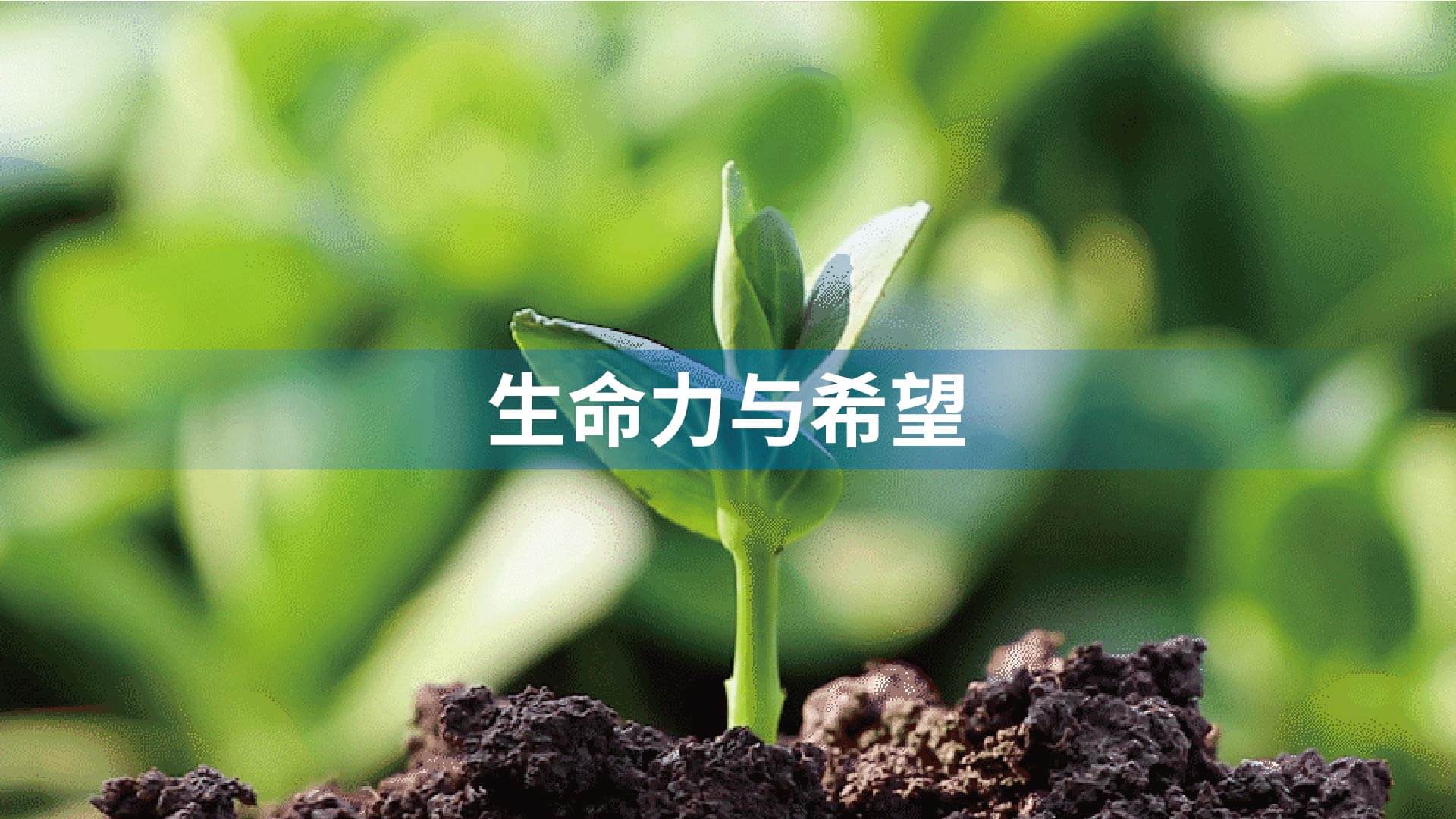 中健未来品牌全案设计(图8)