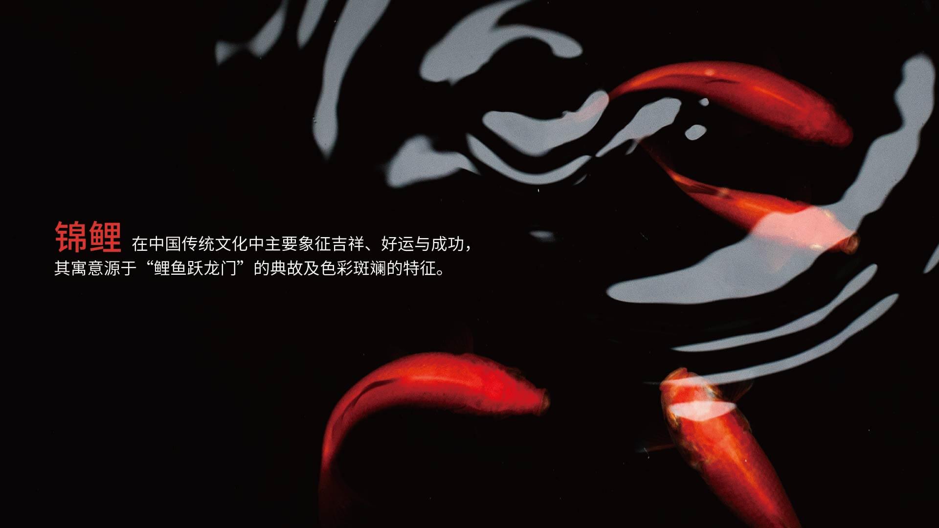 鲤鱼贵人品牌全案设计(图1)
