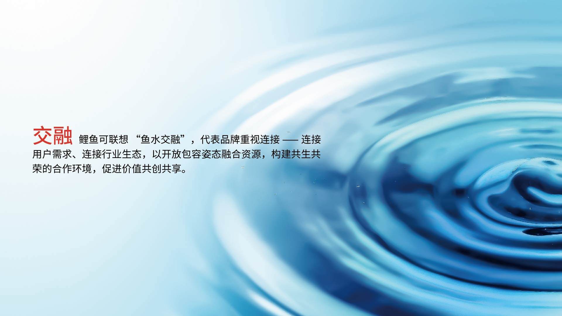 鲤鱼贵人品牌全案设计(图2)