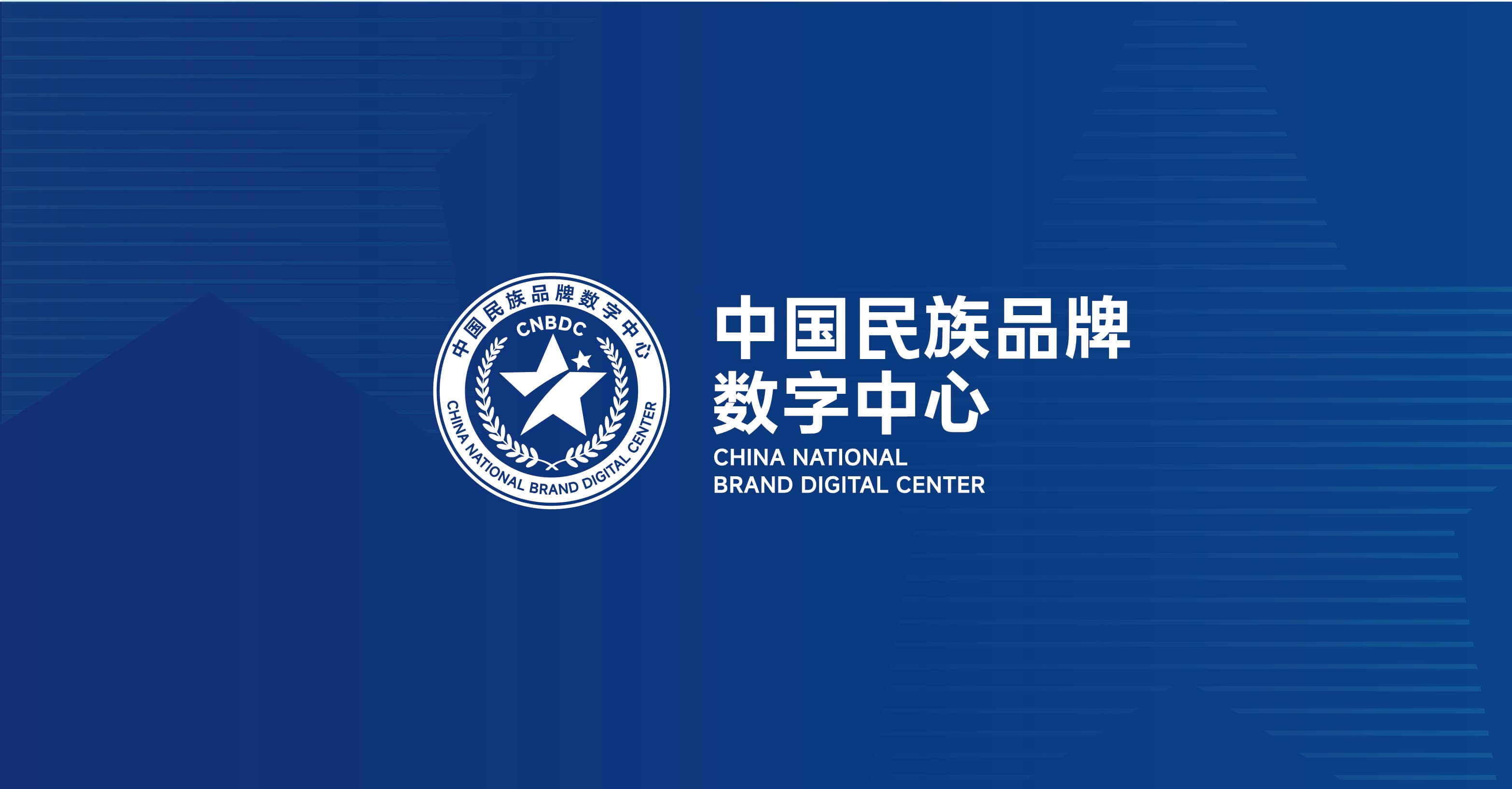 中国民族品牌(图1)