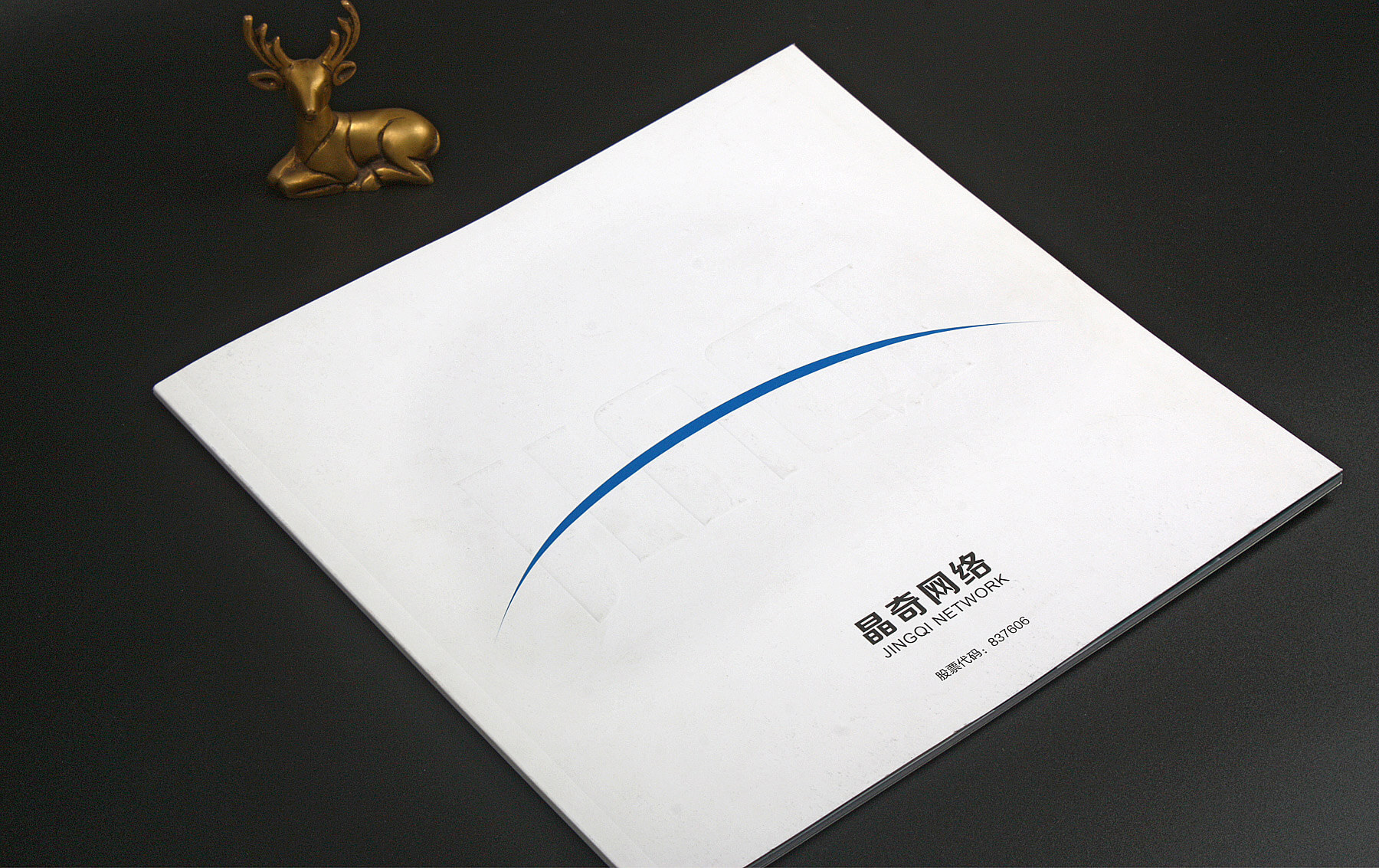 晶奇网络形象画册设计印刷(图1)